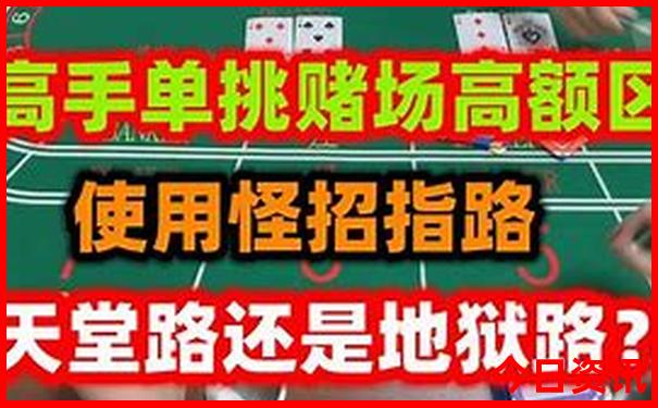 小鱼儿2站全年免费资料优势